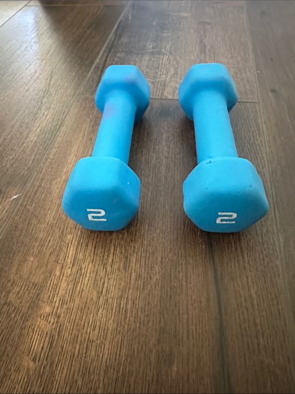 Pair of Blue 2 lb Neoprene Dumbbells